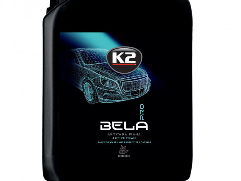 K2 BELA PRO 5 L BLUEBERRY